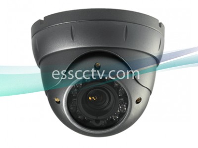 CNB LFM-20VF Eyeball type Outdoor Dome IR Camera, MONALISA 600 TVL, Vandal-Resistant