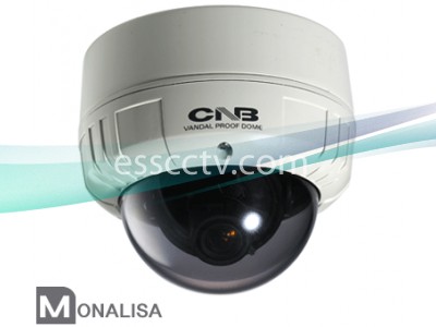CNB VCM-24VF Outdoor Dome Camera, MONALISA 600 TVL, 2.8~10.5mm Lens, True Day/Night, Dual Mount